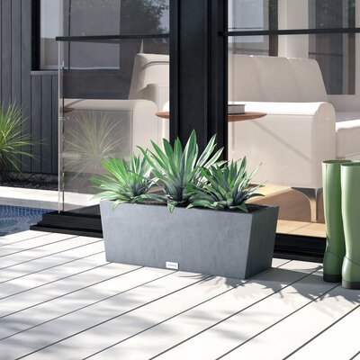 Modern Planters | AllModern